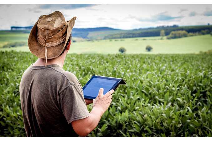 تسيفرلى فەرمالار كوبەيەدى