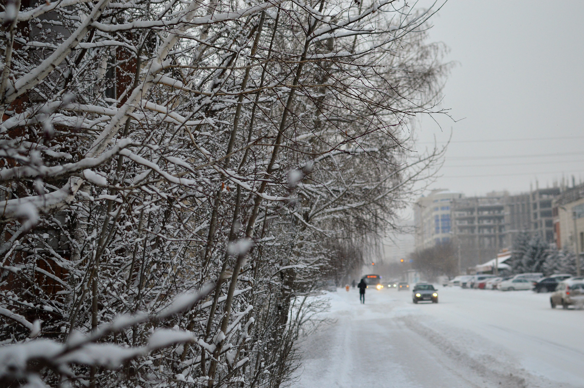 دەمالىس كۇندەرى ەلوردادا قار جاۋىپ, كوكتايعاق بولادى