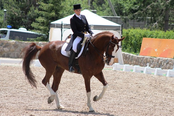 ات سپورتى: الماتىدا قالا بىرىنشىلىگى ءوتتى