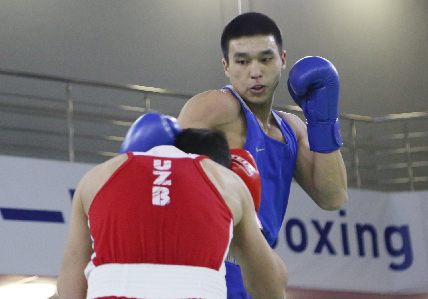 بوكس: تولتاەۆ پەن نۇرماعانبەت جارتىلاي فينالدا