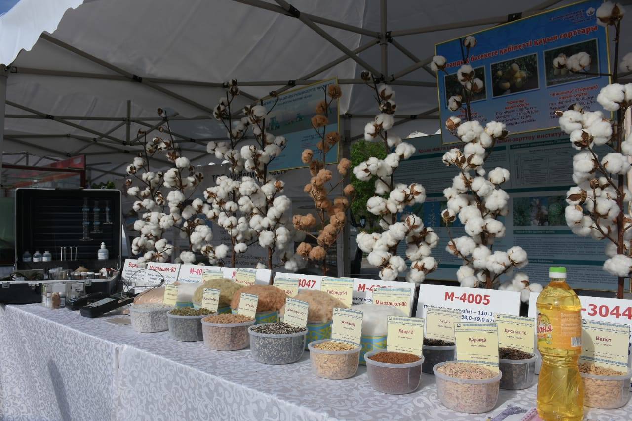 تۇركىستاندا «اگروونەركاسىپ كەشەنىنىڭ وزىق تەحنولوگيالارى» اتتى كورمە ءوتتى