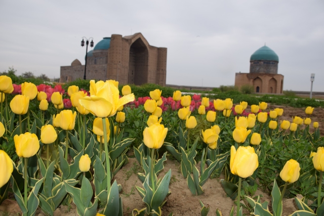 قوجا احمەت ياساۋي كەسەنەسى جانە تاريحي تۇلعالار مەن ورىندار جايلى مالىمەت بەرۋگە ارنالعان موبيلدىك قوسىمشا ىسكە قوسىلدى