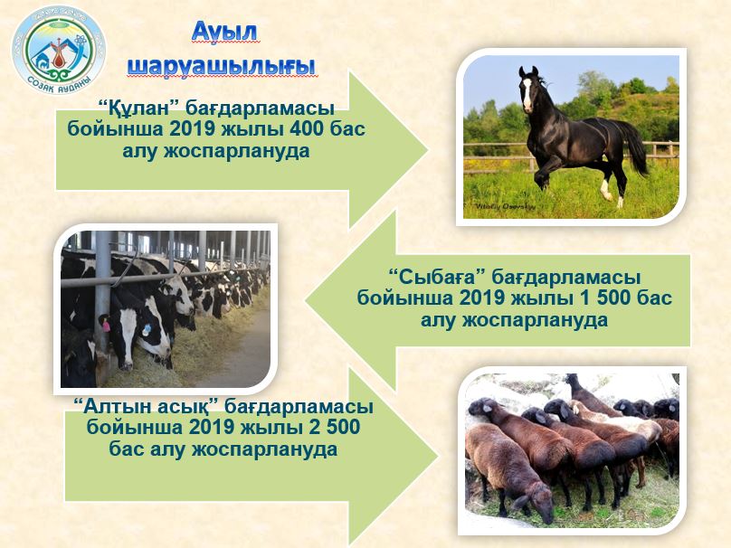 تۇركىستان: سوزاق اۋدانىندا وڭىرلىك ءونىم كولەمى 245 ملرد تەڭگەدەن اسقان