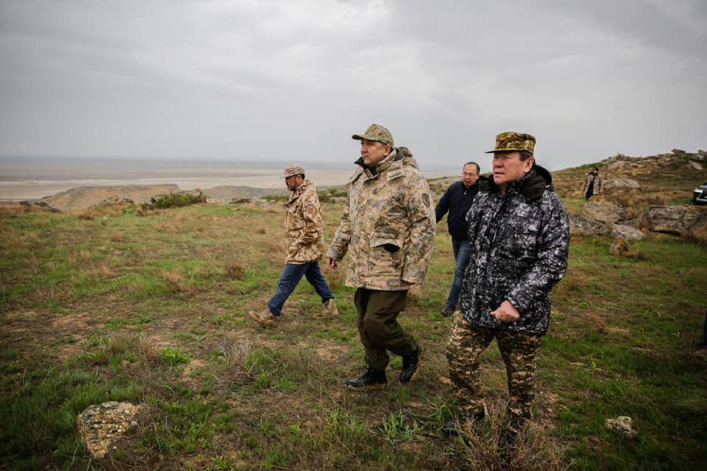 جەلتاۋدا تابيعي  ساياباق سالىنادى