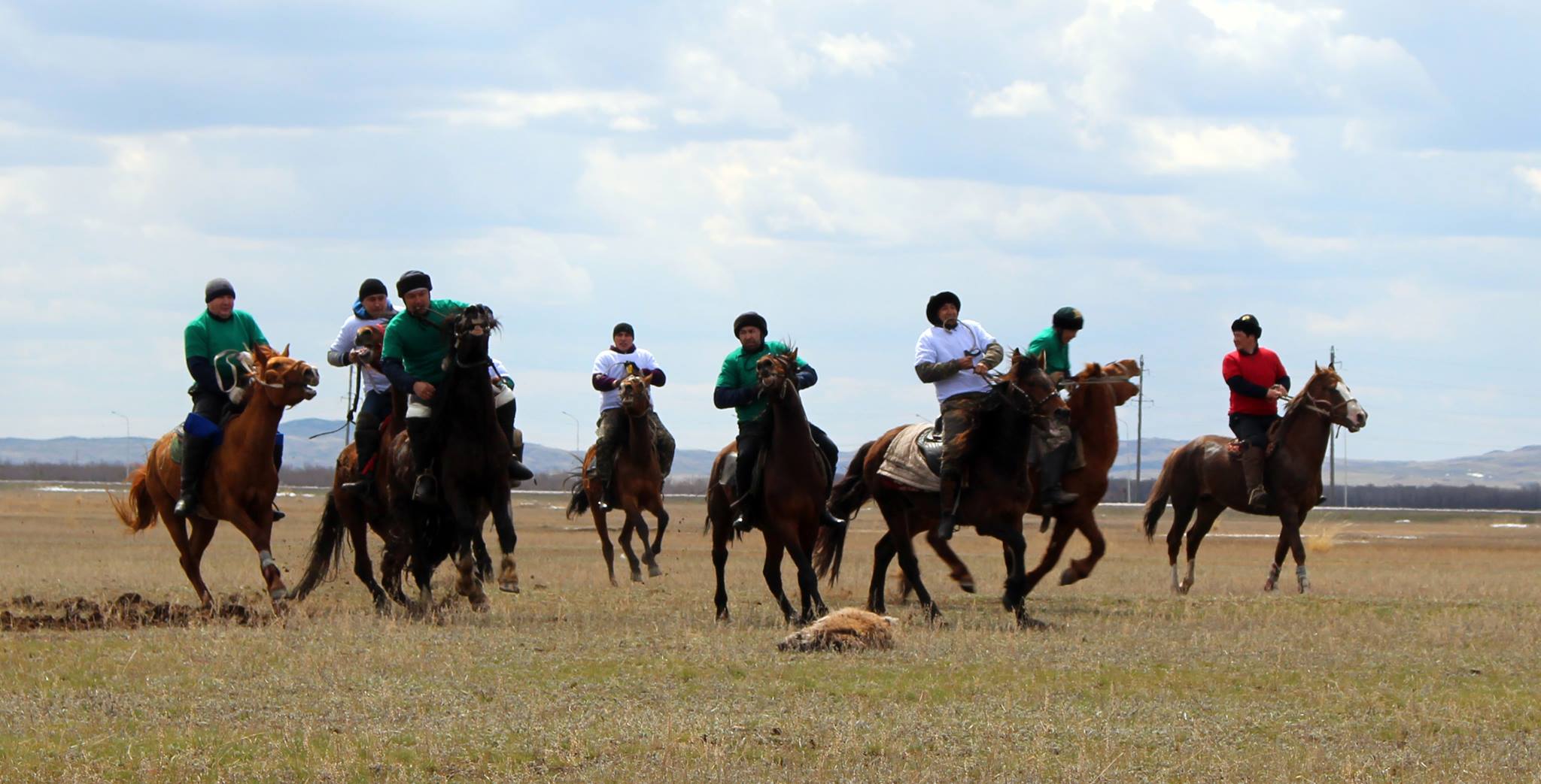 قاراعاندىدا ارقا ونەرپازدارى كوكپار تارتتى