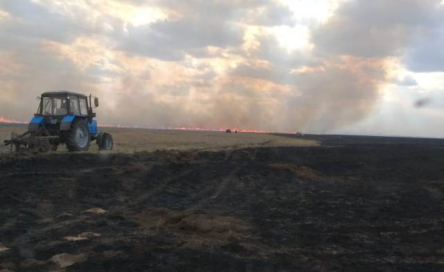 پاۆلودار وبلىسىندا دالا ورتتەرى باسىلماي تۇر