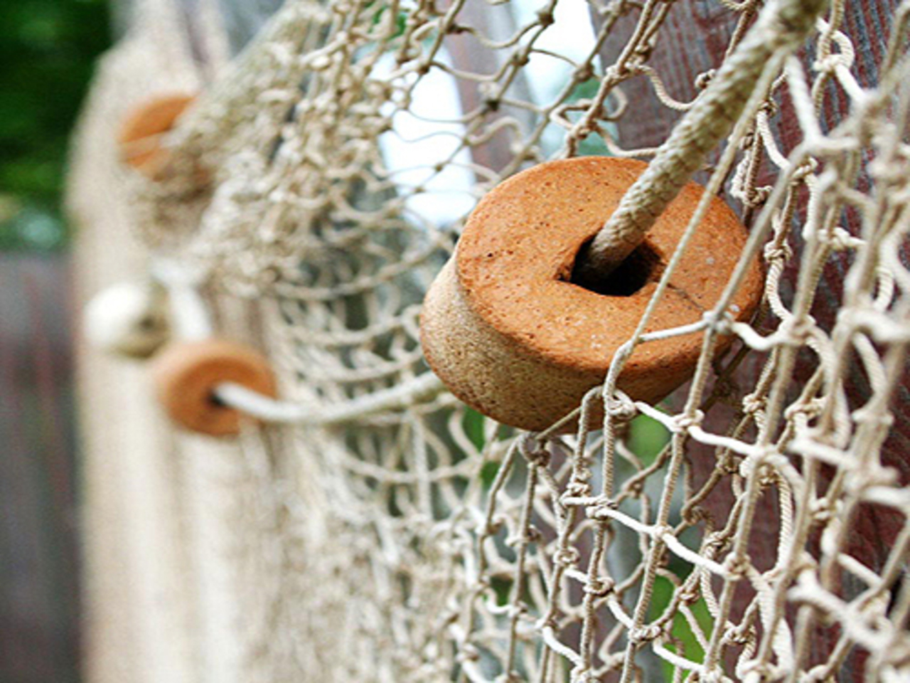 زاڭسىز بالىق اۋلاۋشىلار ازايماي تۇر