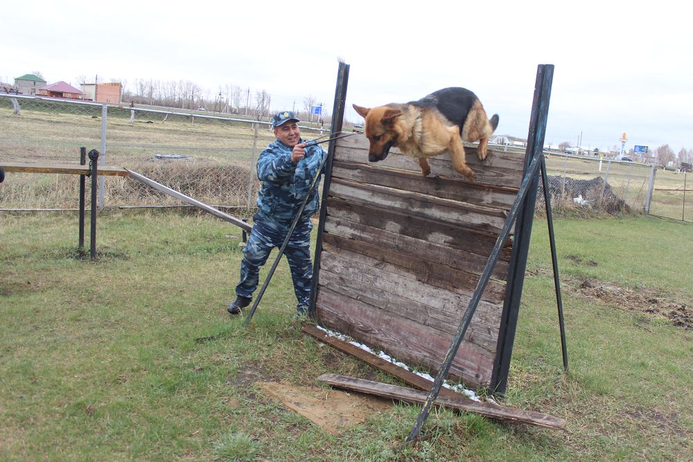 «ءتورت اياقتى» ءتارتىپ ساقشىلارى