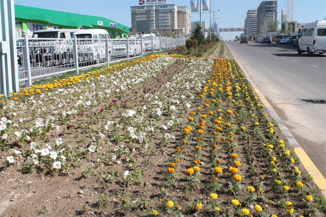 ۇشايلىق اباتتاندىرۋ اكتسياسى جاريالاندى