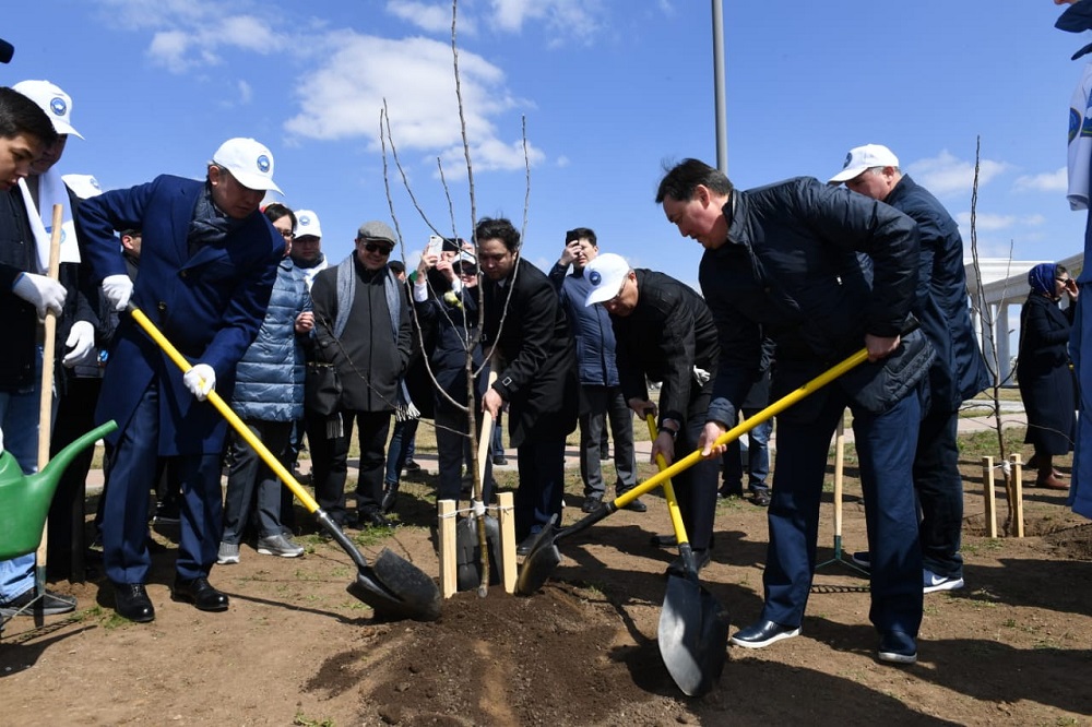 ەلوردادا الما باعى وتىرعىزىلدى