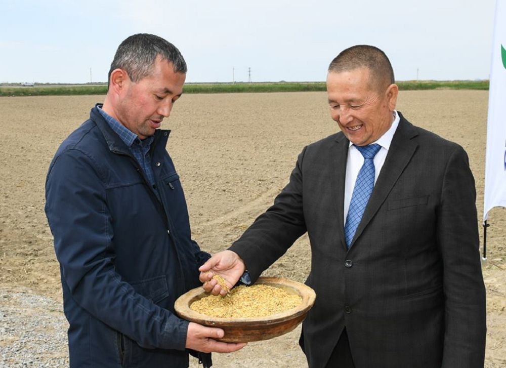 «اقىلدى فەرمالار»  ونىمدىلىكتى ارتتىرۋعا سەپتەسەدى