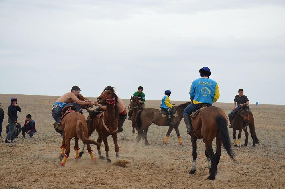 كوكپارشىلار اۋىلدىڭ اتىن شىعارادى