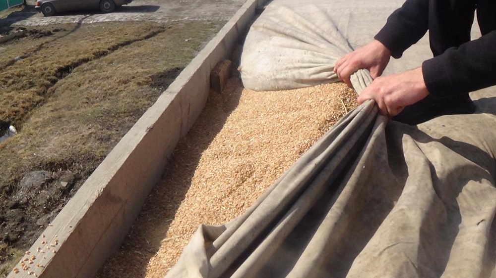 قوستانايدا ءىرى استىق ۇرلىعىنىڭ جولى كەسىلدى