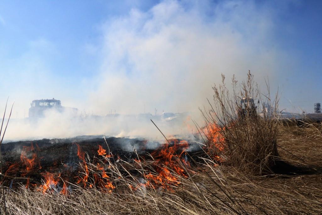 سقو-دا ورمان ءورتى جيىلەپ بارادى