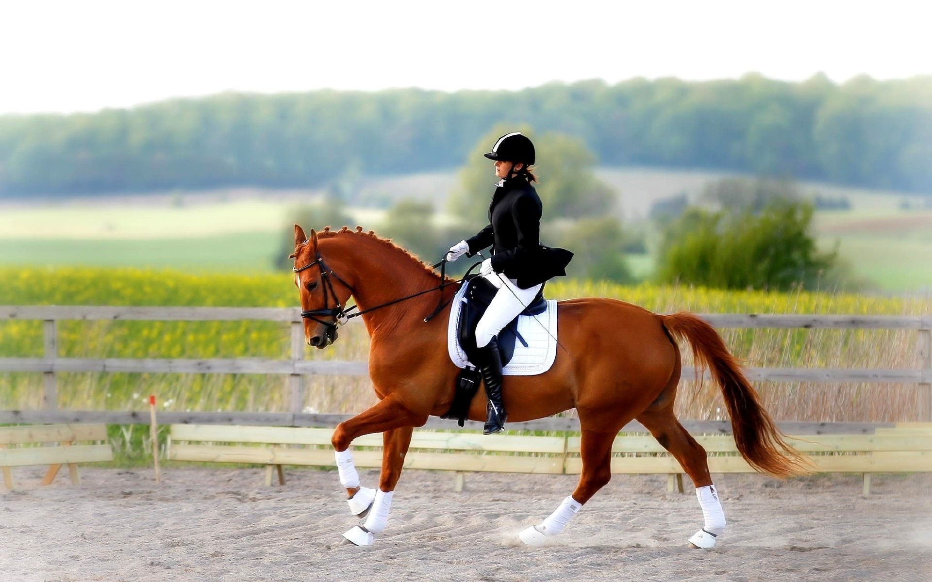 ات سپورتىنان قازاقستان سپارتاكياداسىنىڭ جەڭىمپازدارى انىقتالدى