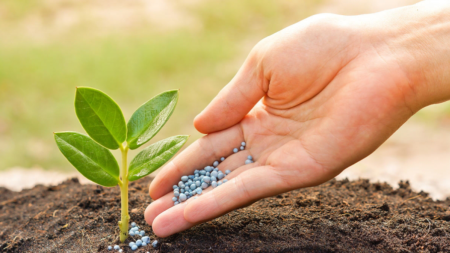 عارىشتىق ەگىنشىلىك: قازاقستاندىق ستارتاپ Egistic رىنوكقا شىقتى