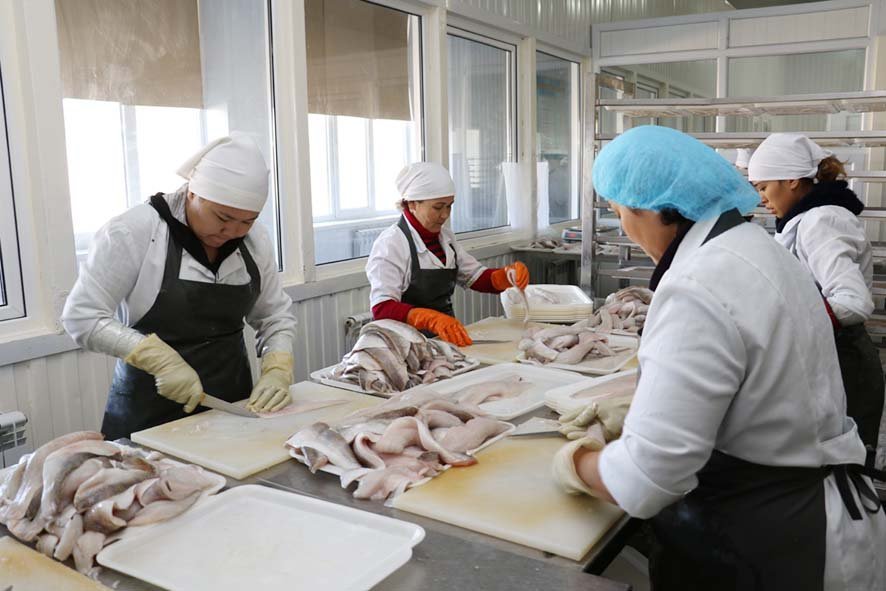 ارال قالاسىندا بۇگىنگە دەيىن ءتورت مىڭ كاسىپكەرلىك سۋبەكتىسى تىركەلگەن