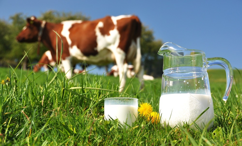 اۋىلعا دەگەن قامقورلىق قوماقتى