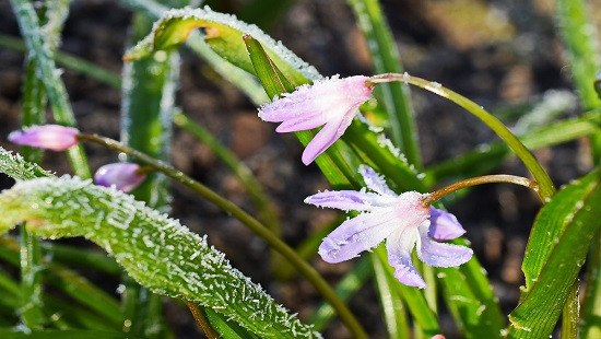 ەلوردادا داۋىلدى ەسكەرتۋ جاريالاندى