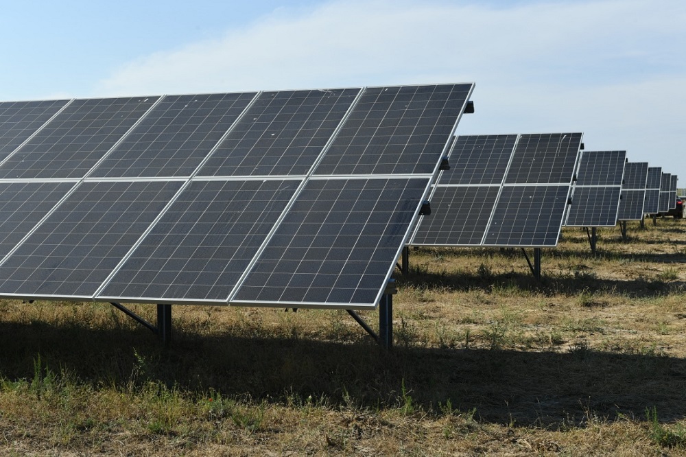 تۇركىستان وبلىسىندا بالامالى قۋات كوزدەرى كوبەيەدى