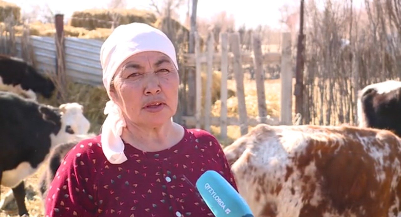 كوپ بالالى انا كاسىبىن اشتى