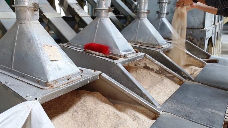 سولتۇستىك قازاقستاندا قۇراماجەم زاۋىتى ىسكە قوسىلدى