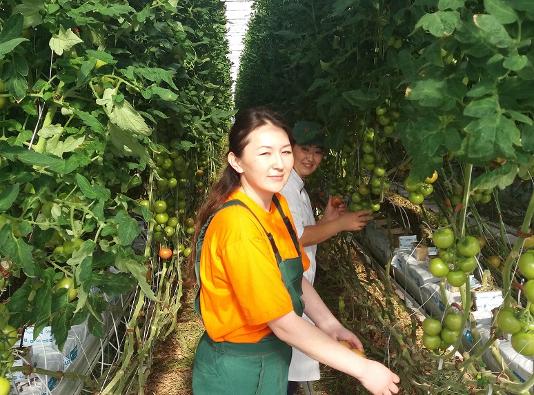 ەكىباستۇز گرەس-1 ستانساسىنىڭ جىلىجايى قىزاناققا, راۋشان گۇلدەرىنە تولى