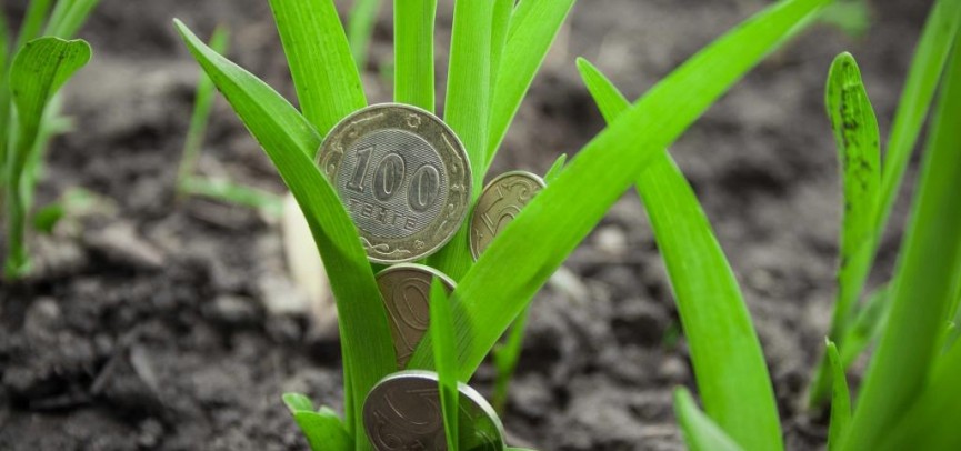 اۋىل كاسىپكەرلىگىن قارجىلاندىرۋ باستالدى