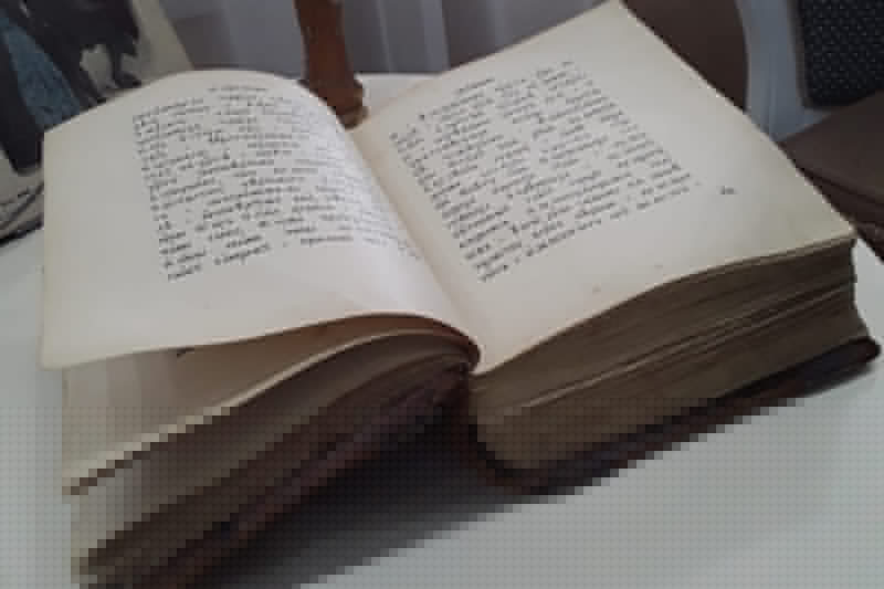 سولتۇستىك قازاقستاندا سلاۆيان جازۋى مەن مادەنيەتى كۇنى ءوتتى