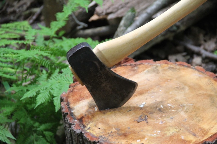 اعاشتى ەگە ءجۇرىپ,  كەسەتىن جۇرتپىز...