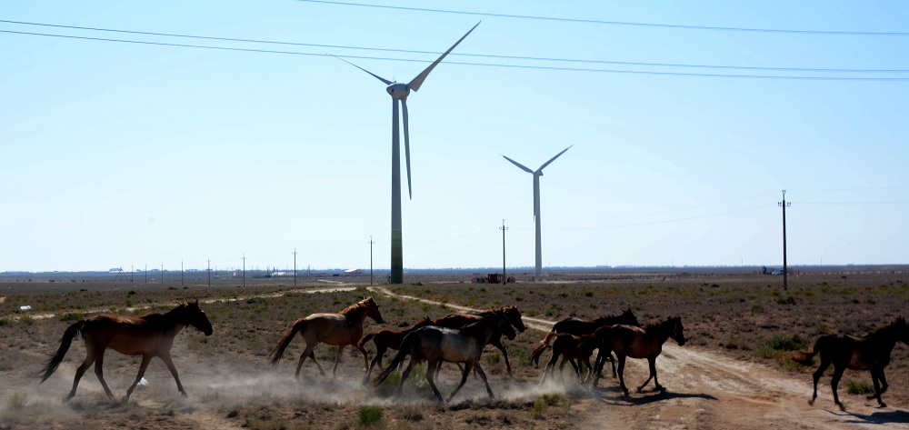 ماڭعىستاۋدا جىلىجايلار سانىن ارتتىرۋ جوسپارلانىپ وتىر