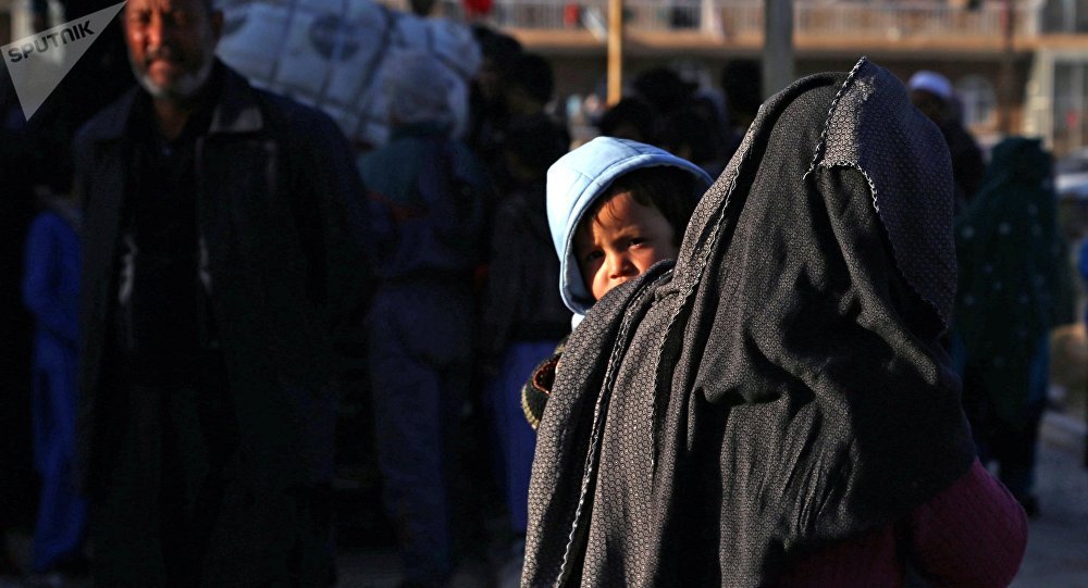 جۋسان ۋاقىتىندا گۇلدەدى