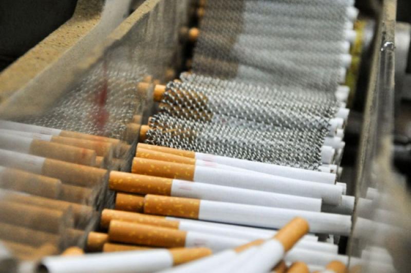 ماڭعىستاۋدا جۇك كولىگىنەن 13 460 000 دانا تەمەكى تاركىلەندى