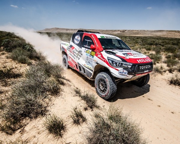 تەمىر تۇلپارلار بايگەسى مارەگە جەتتى