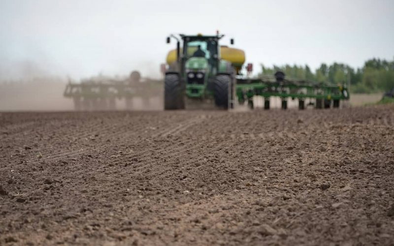 پاۆلودار وبلىسىندا كوكتەمگى ەگىس جۇمىستارى اياقتالدى