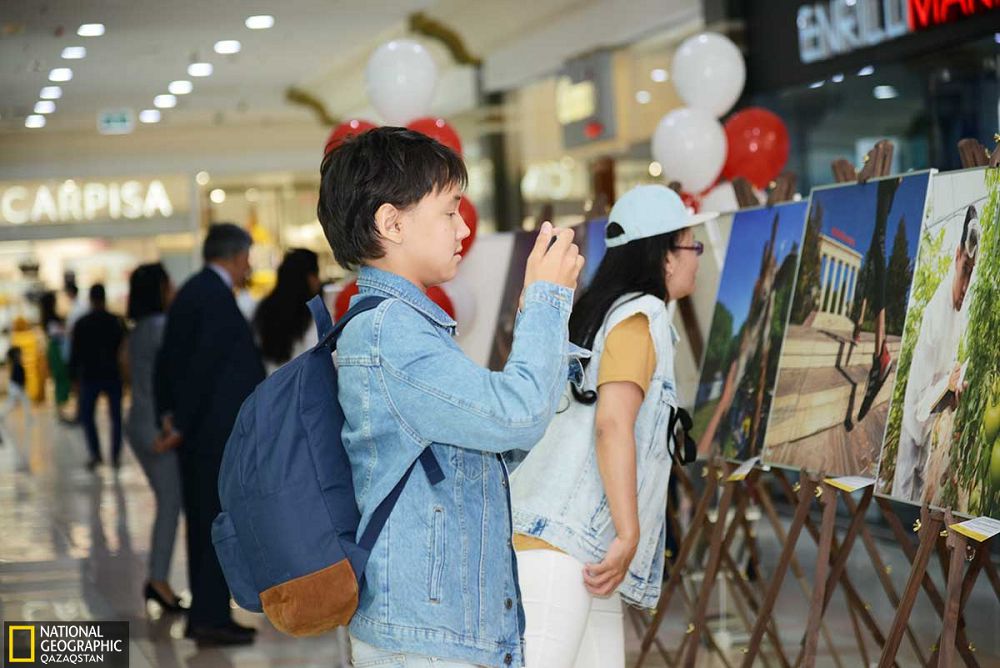 «شىرايلى  شىمكەنت!» شاقىرادى