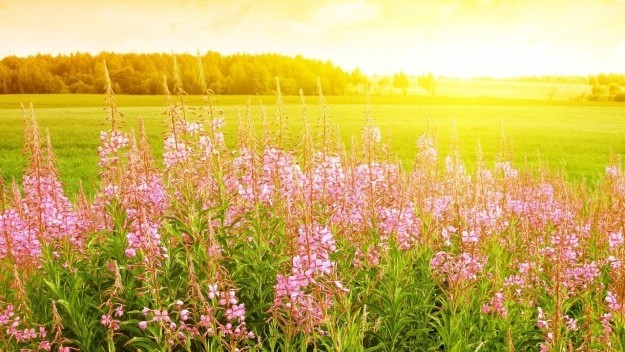 23 ماۋسىمعا ارنالعان اۋا رايى بولجامى