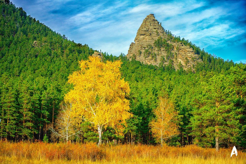 تۋريزم سالاسىنداعى تۇيتكىلدەر قىرۋار تابىستان قۇر قالدىرىپ وتىر