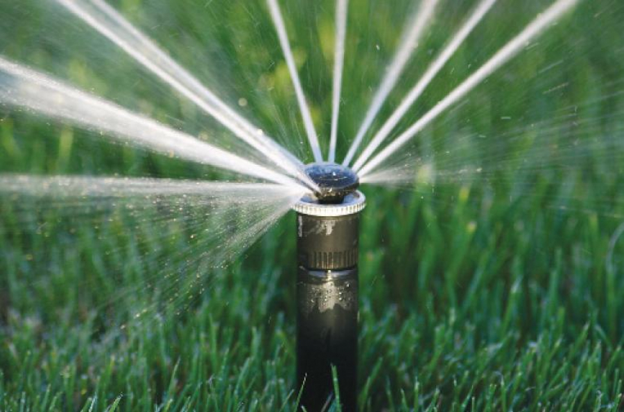 تال-تەرەكتى سۋارۋدىڭ جاڭا ءتاسىلى وڭ ناتيجە بەرە الا ما؟