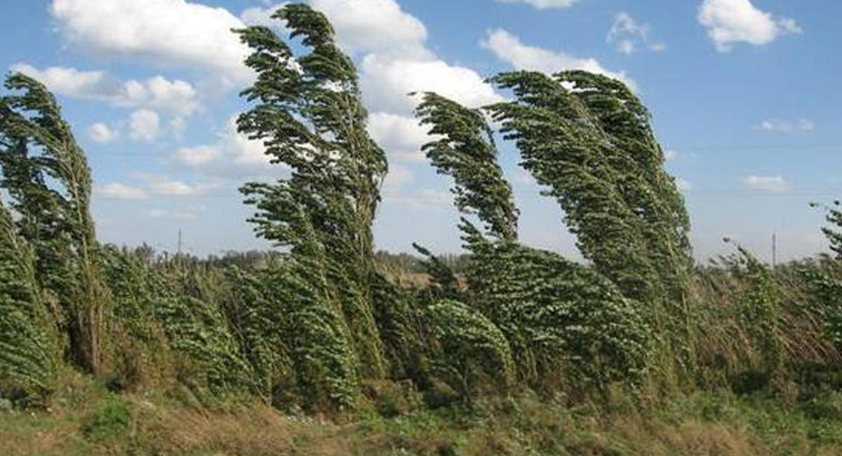 29 ماۋسىمعا ارنالعان اۋا رايى بولجامى