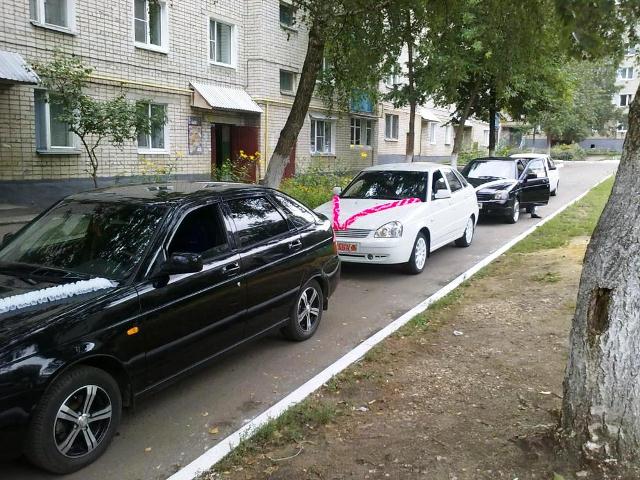 الماتىدا كولىك كورتەجى پوليتسيا قىزمەتكەرىن قاعىپ كەتتى