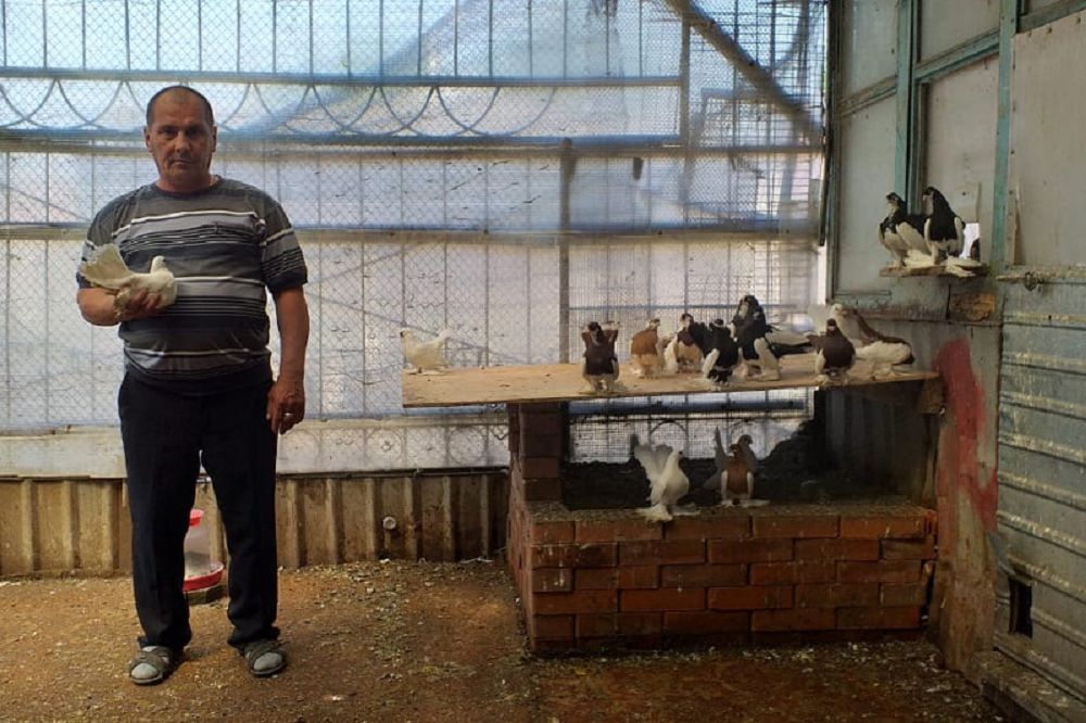 سيرەك كەزدەسەتىن قۇستار وسىرۋمەن اينالىساتىن كاسىپكەر