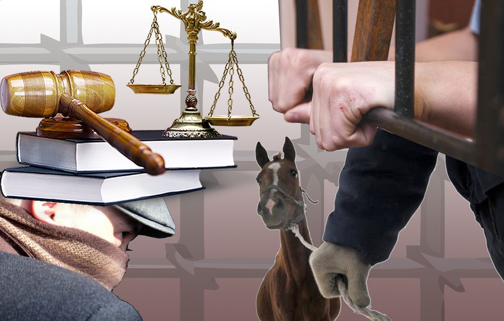 مال ۇرلاعان قىلمىستىق توپ سوتتالدى