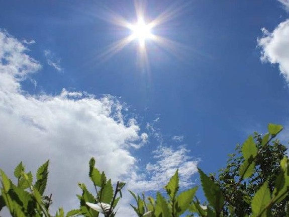 بۇگىن دە ەلىمىزدىڭ باسىم بولىگىندە اپتاپ ىستىق بولىپ, جەل كوتەرىلەدى