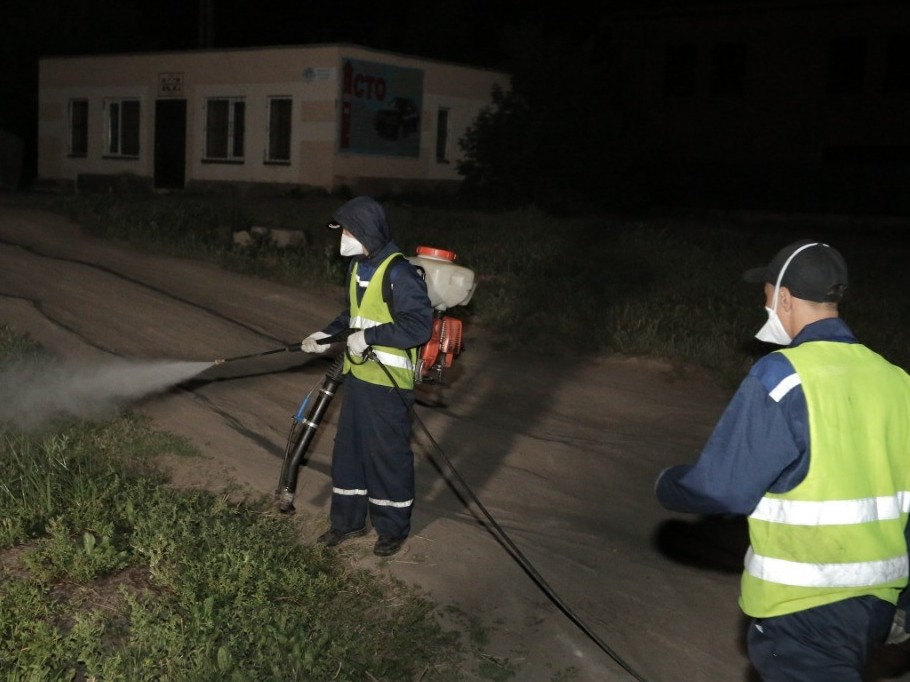 ەلوردادا ماسالاردى «قۋىپ جاتىر»
