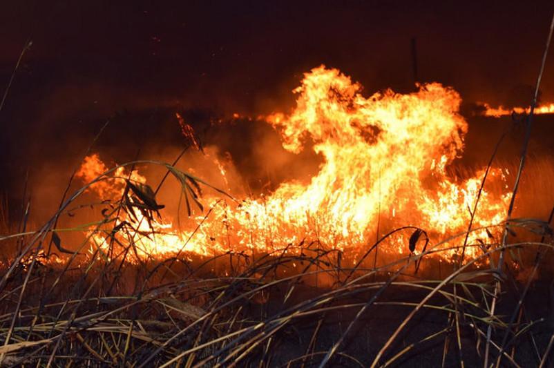 جامبىل وبلىسىندا استىق القابى جانىپ جاتىر