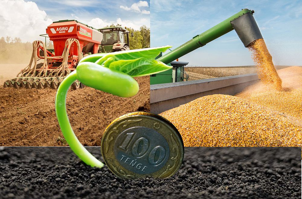 مەملەكەتتىك قولداۋدى ءتيىمدى پايدالانايىق