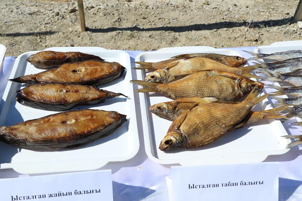 قىزىلوردا وبلىسىندا بالىق ونىمدەرىنىڭ ەكسپورت كولەمى 9 ەسەگە ارتتى