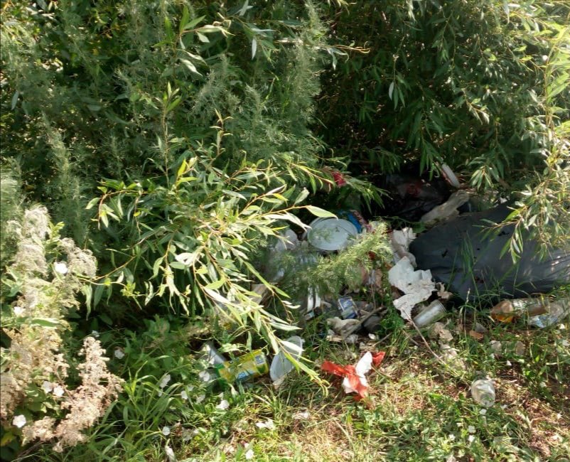 مينيستر Birge, TazaQazaqstan ەكولوگيالىق اكتسياسىن باستادى