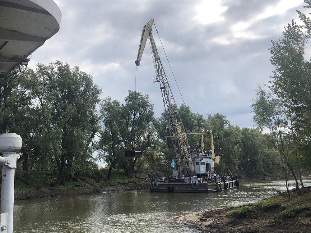 تۇلكى وزەنى ءبىر تازارىپ قالدى